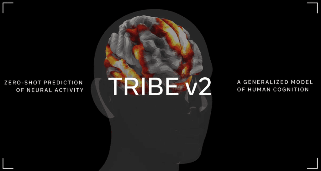 tribe-v2
