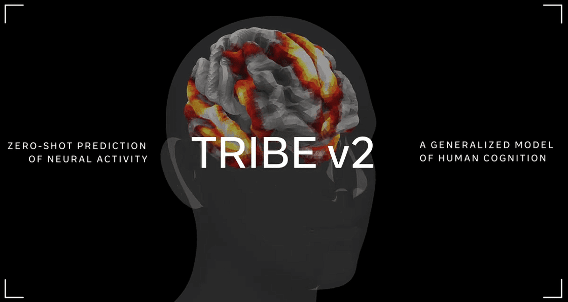 tribe-v2