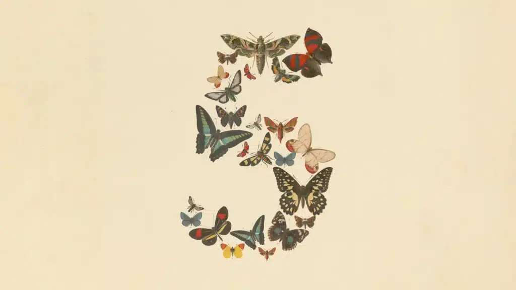 Claude Fable 5