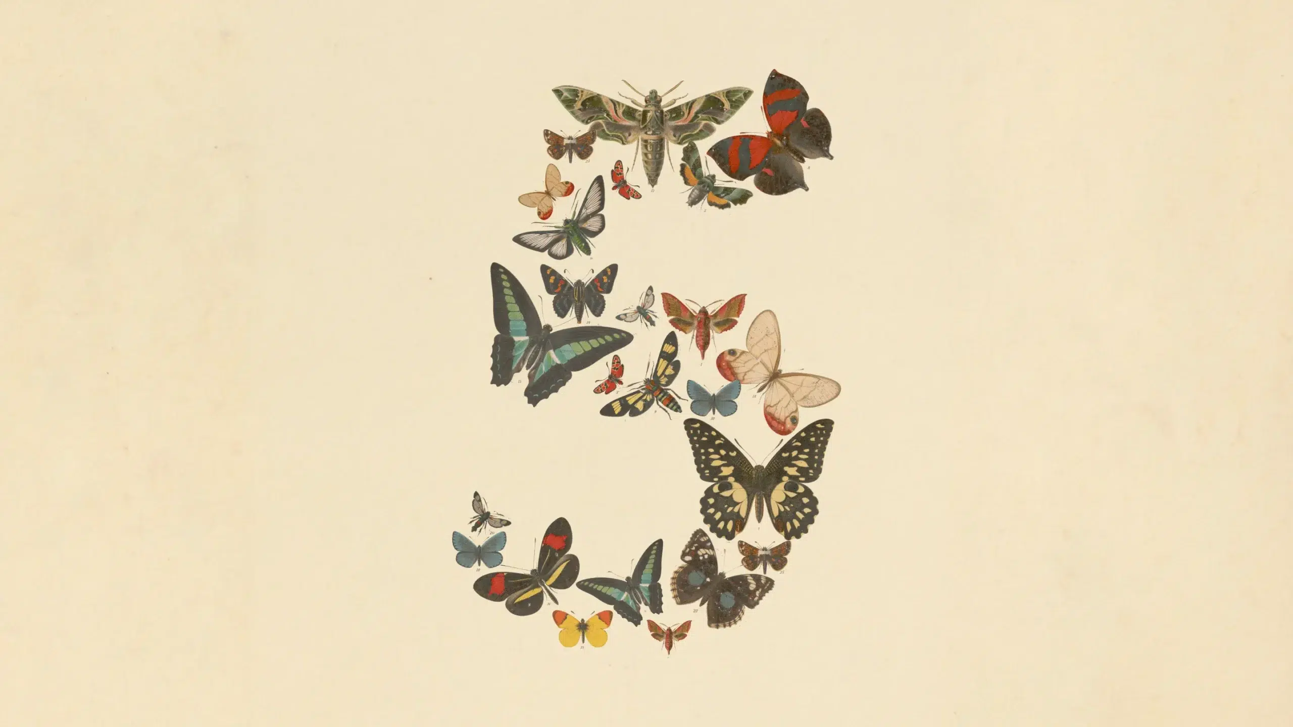 Claude Fable 5
